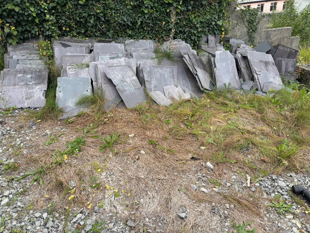 Bangor blue slates - Image 4