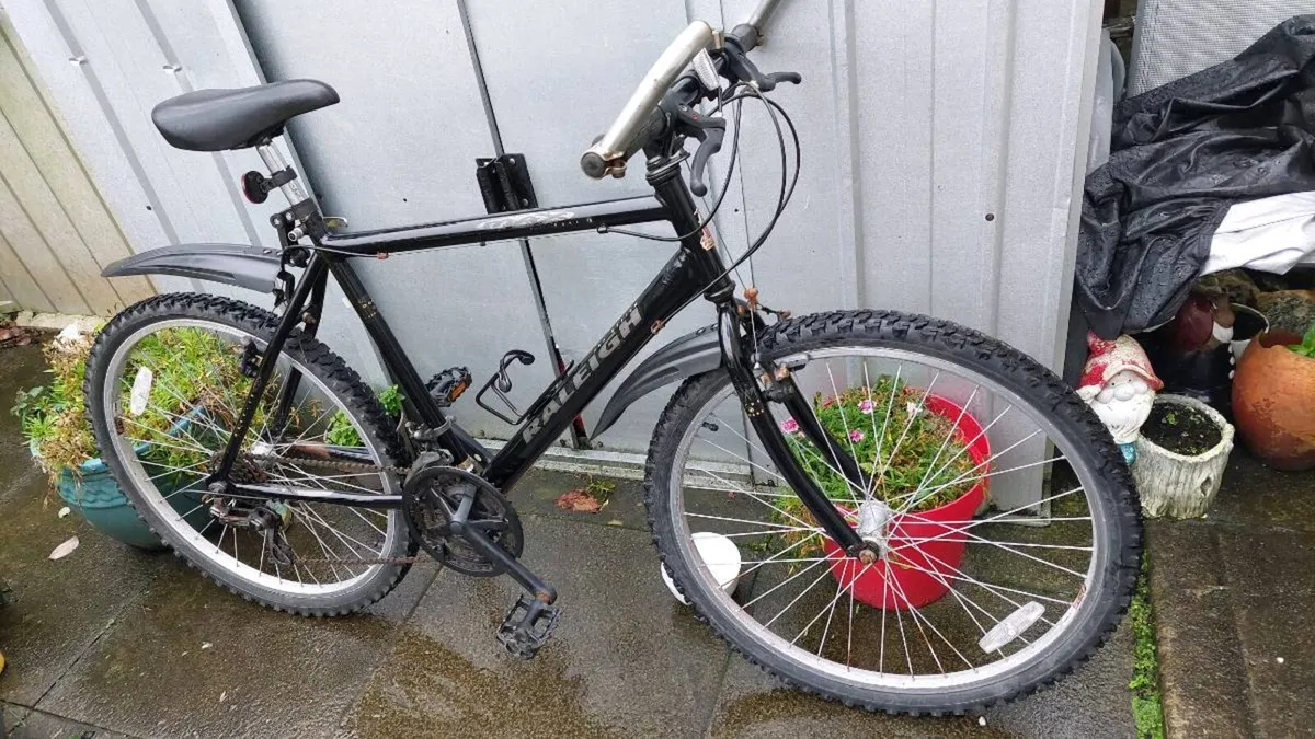 Raleigh Max All Terrain Bike Only €90 works 💯 % - Image 1