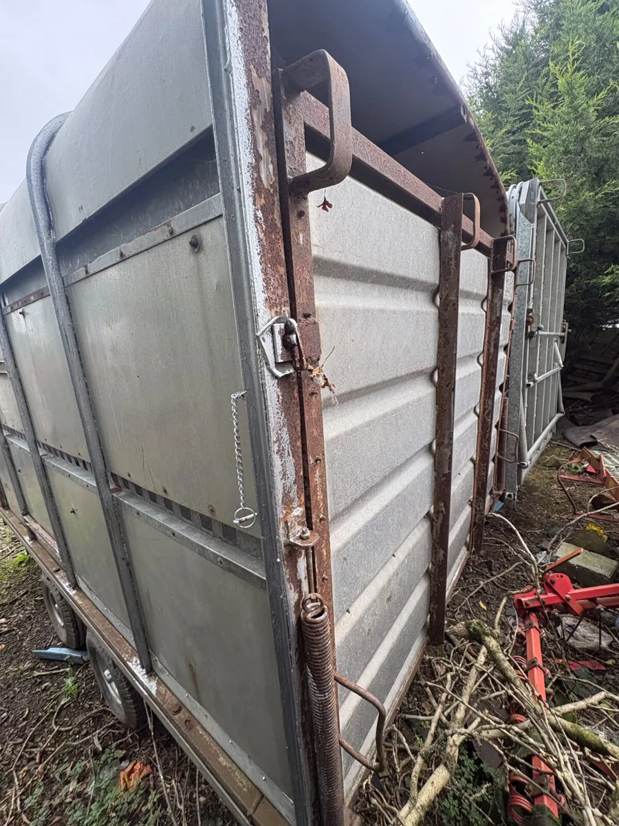 Ifor Williams 12ft cattle trailer - Image 2