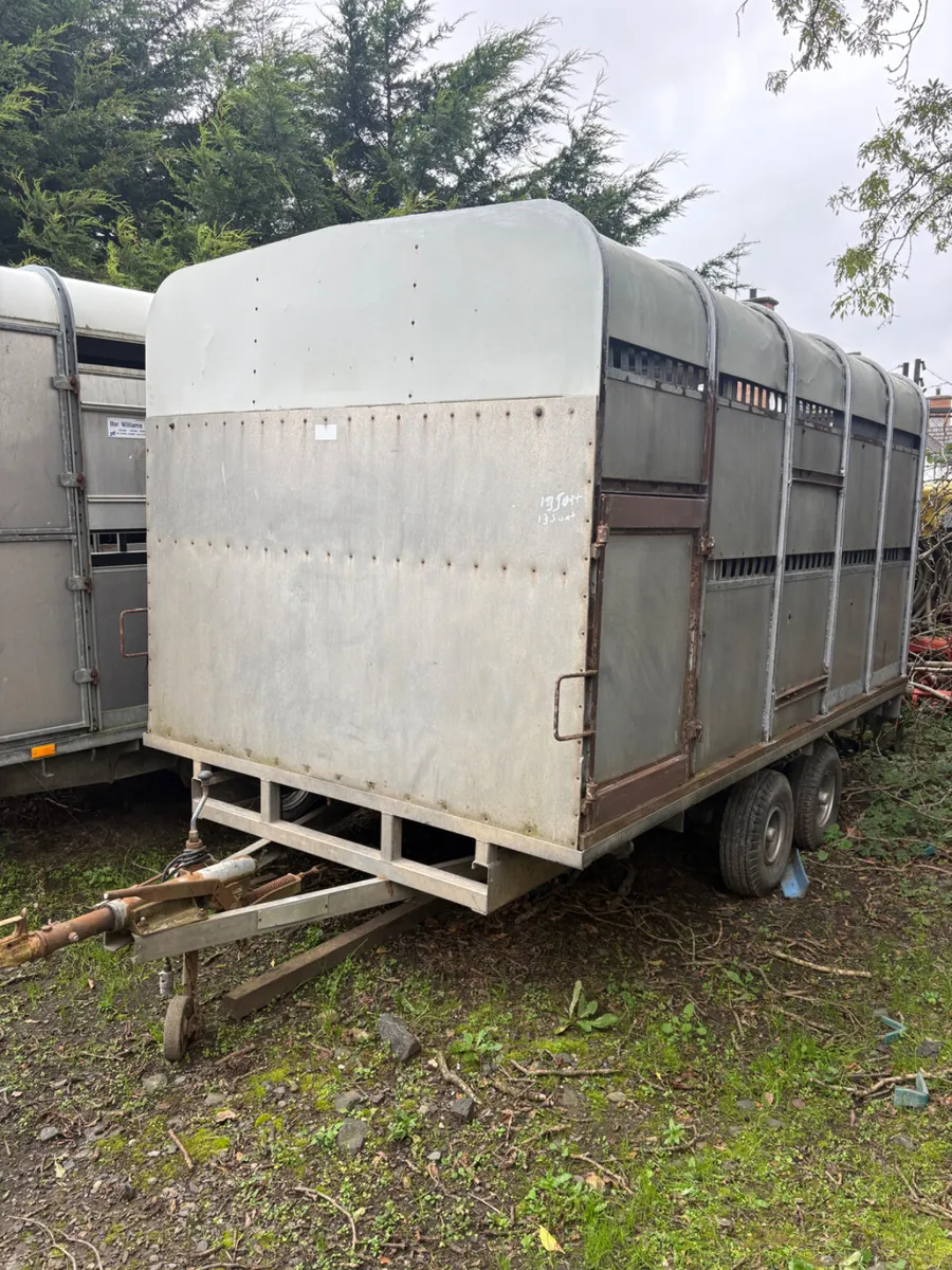 Ifor Williams 12ft cattle trailer - Image 1