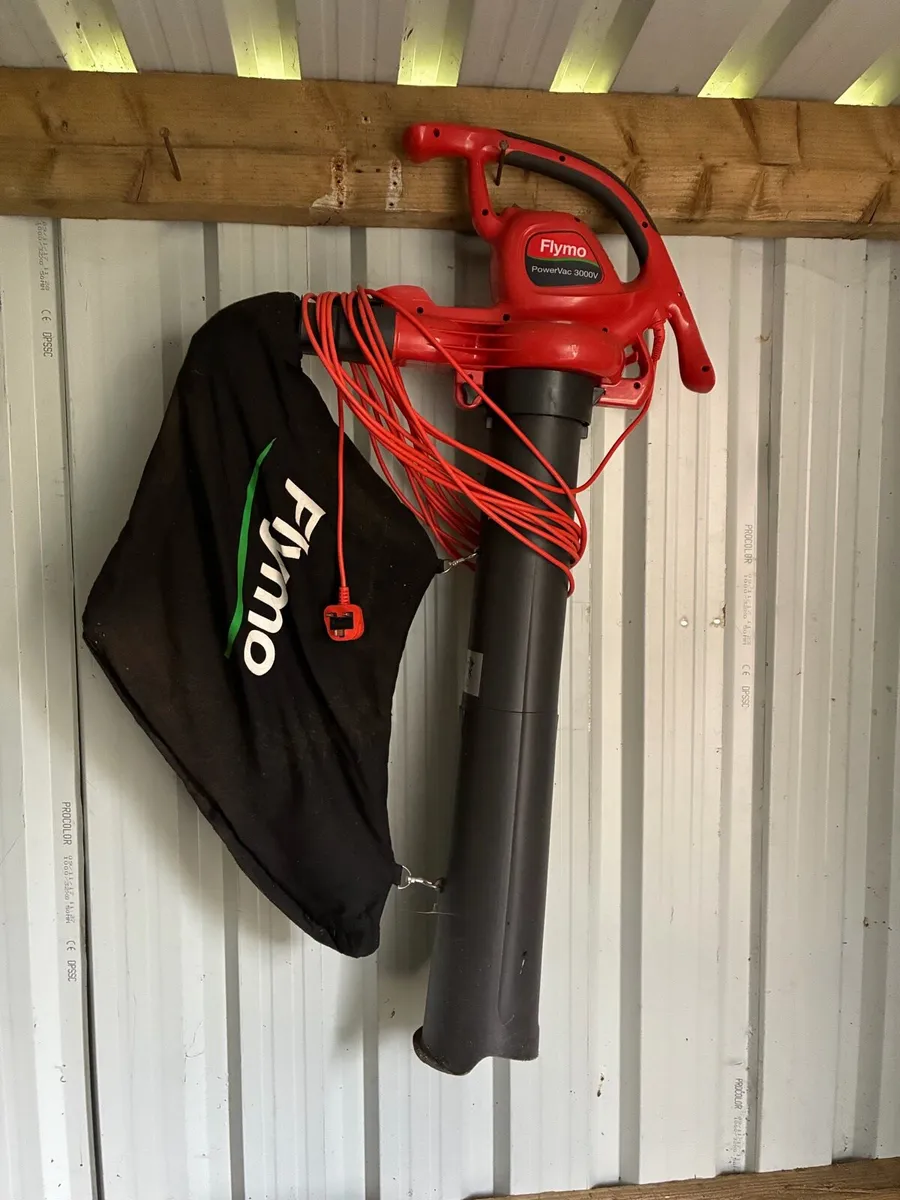 Leaf blower & strimmer - Image 1