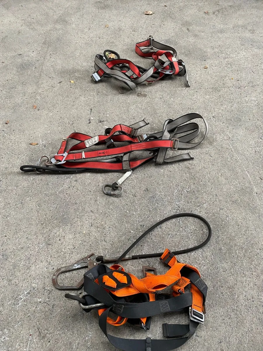 Safety harnesses