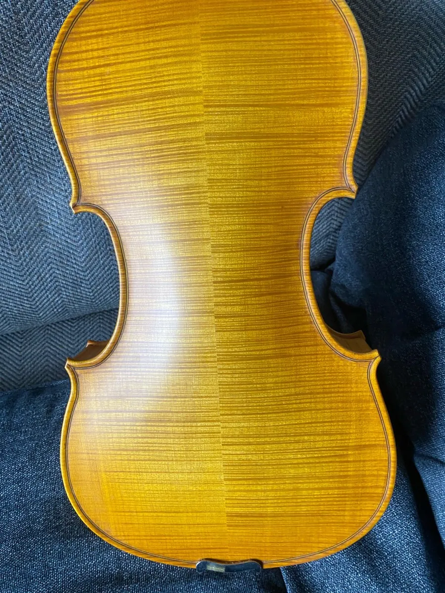 5 string fiddle for sale - Image 1