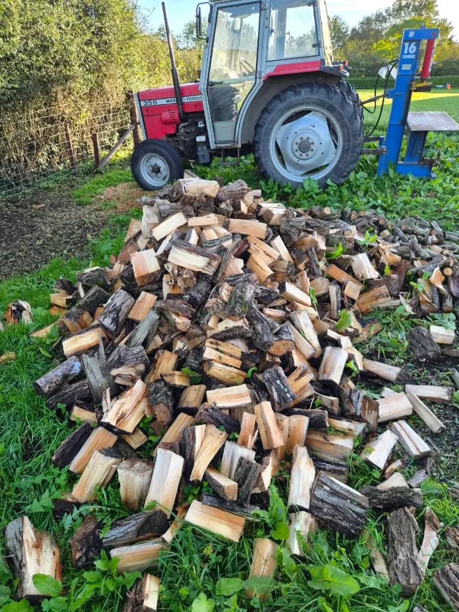 Firewood - Image 1