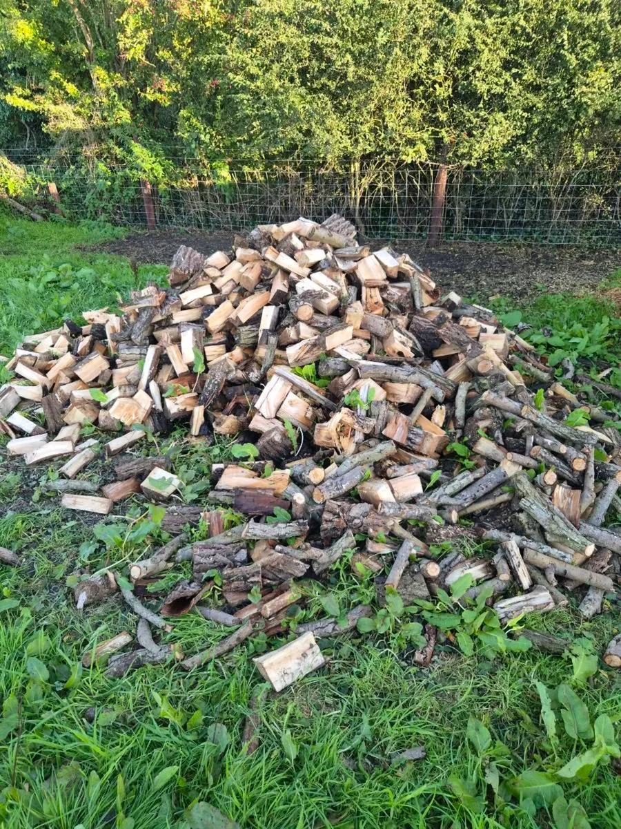 Firewood - Image 2