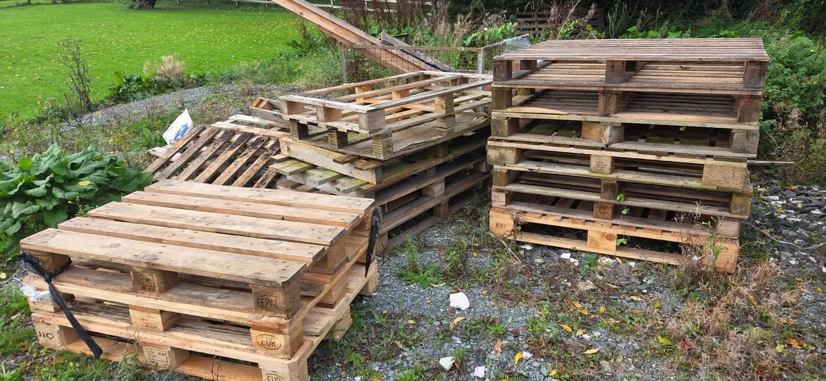 Free pallets - Image 1