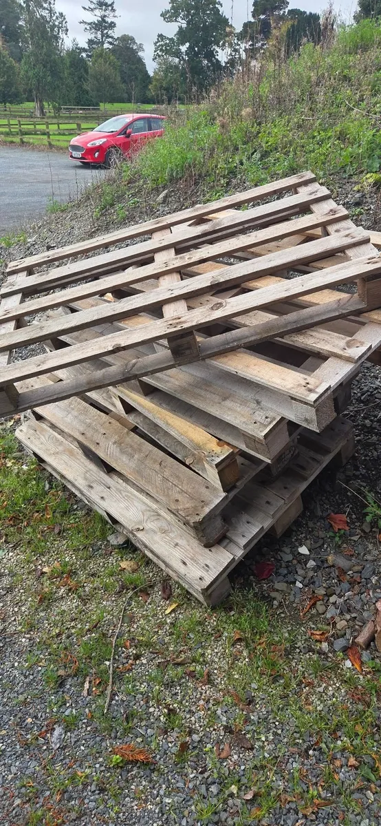 Free pallets - Image 2