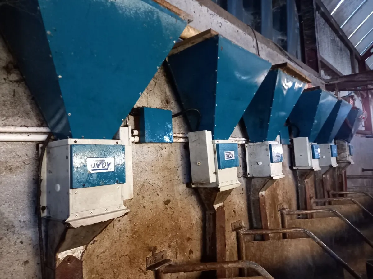 Milking parlour feeders - Image 1