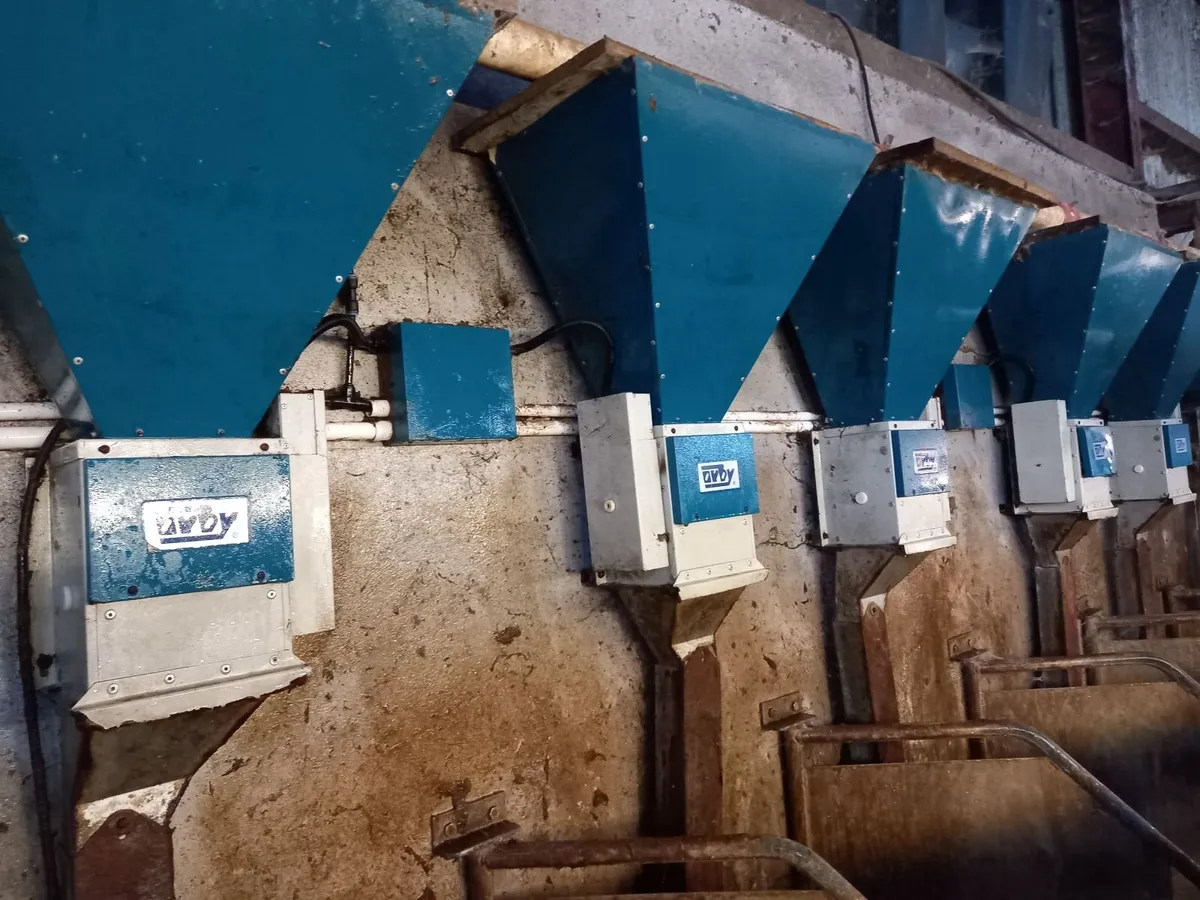 Milking parlour feeders - Image 2