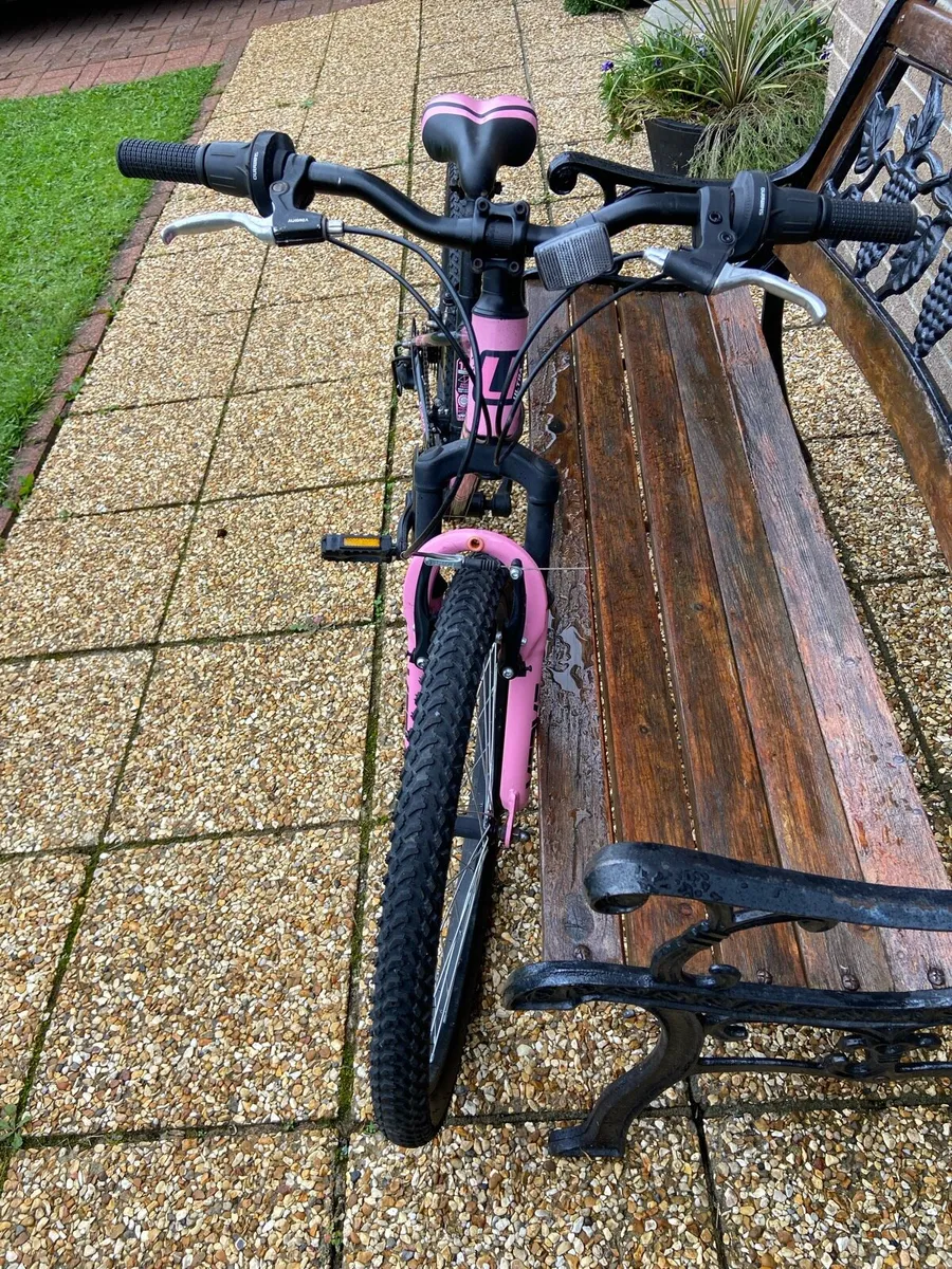 24. Inch. Mountain. Bike - Image 2