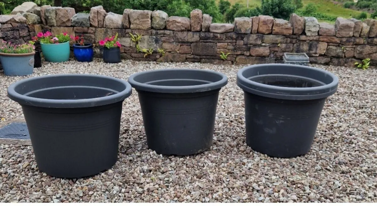 Large flower pots