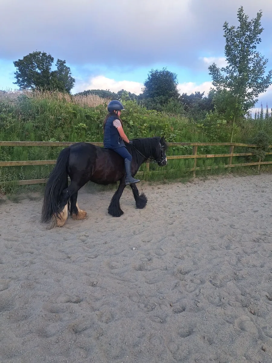 Pony - Image 2