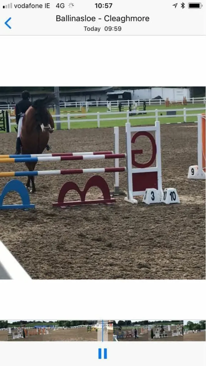 Jumping / Brood mare - Image 2