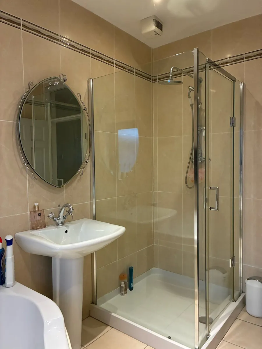 Bath shower and sink - Image 3