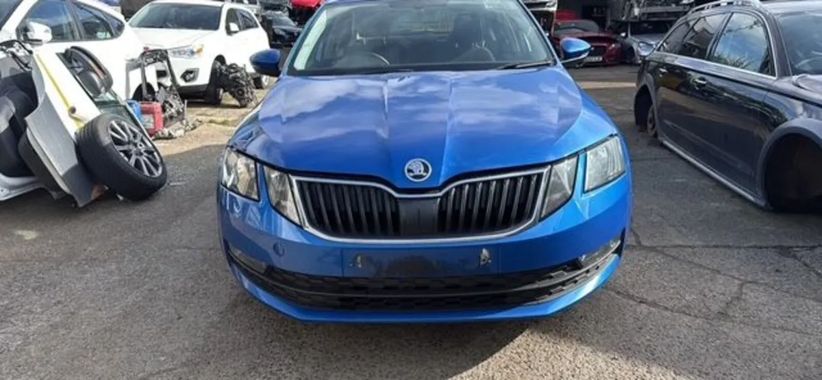 2019 SKODA OCTAVIA 1.6L-D - Image 2