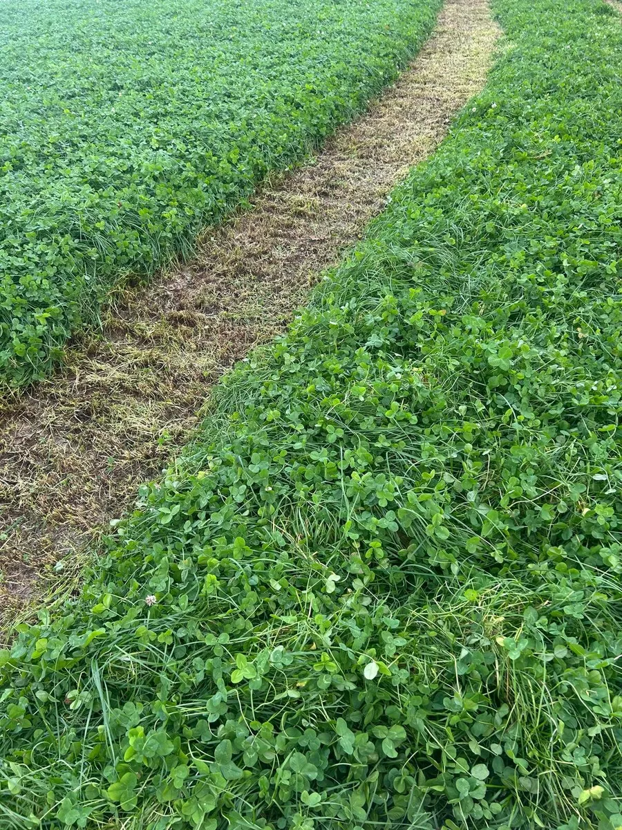 Silage - Image 1