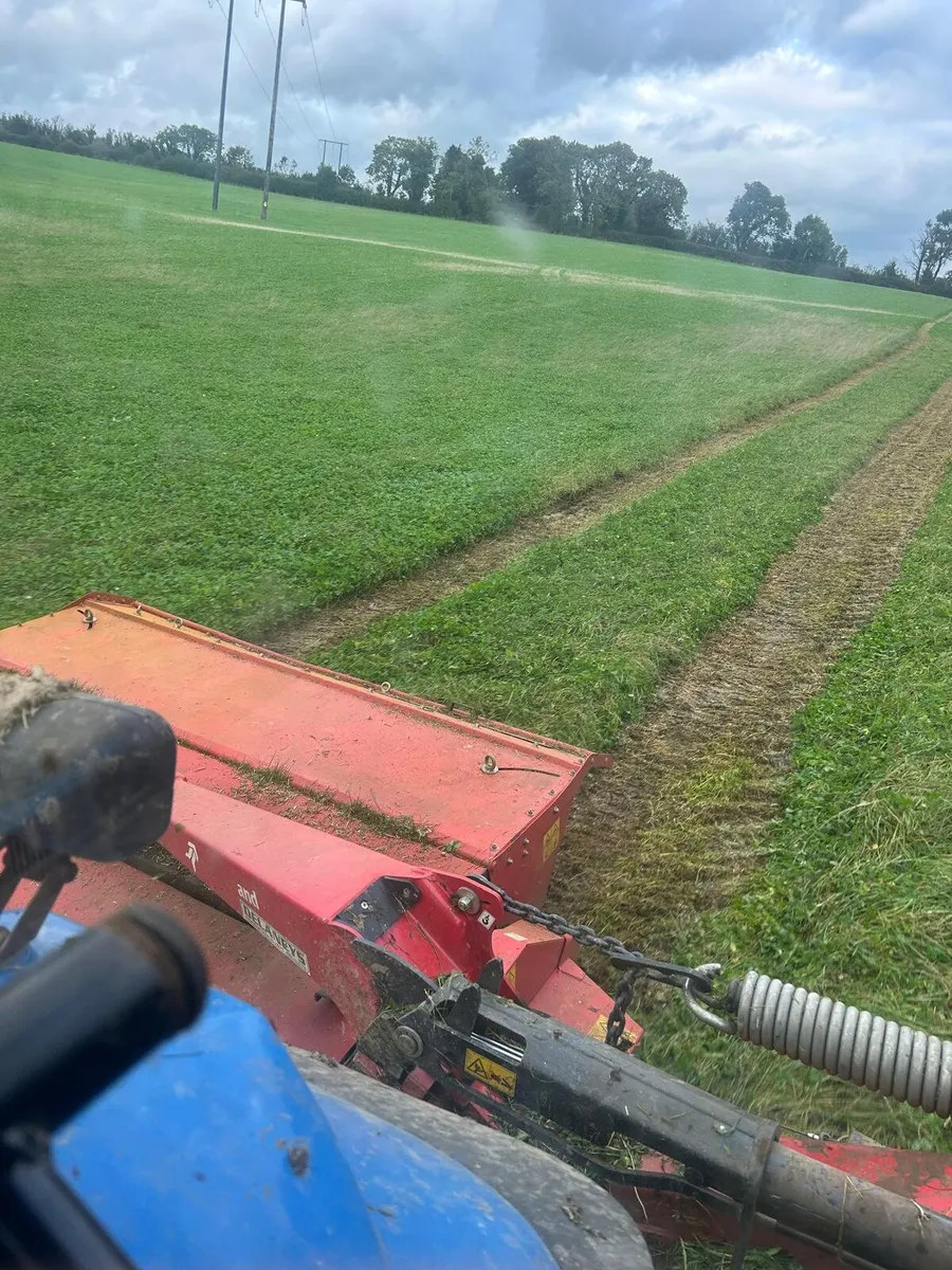 Silage - Image 2