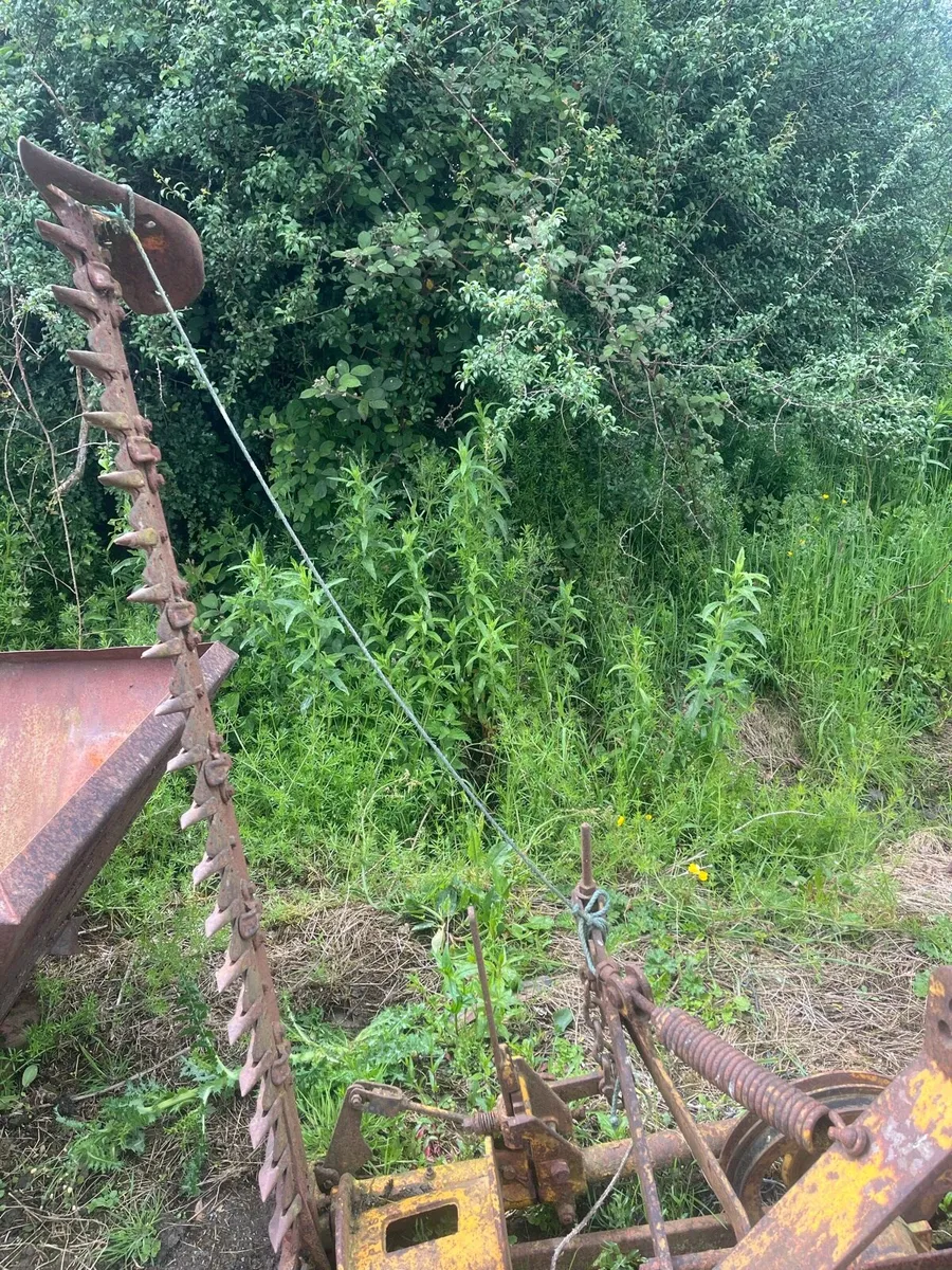 Old Fingerbar Mower - Image 4