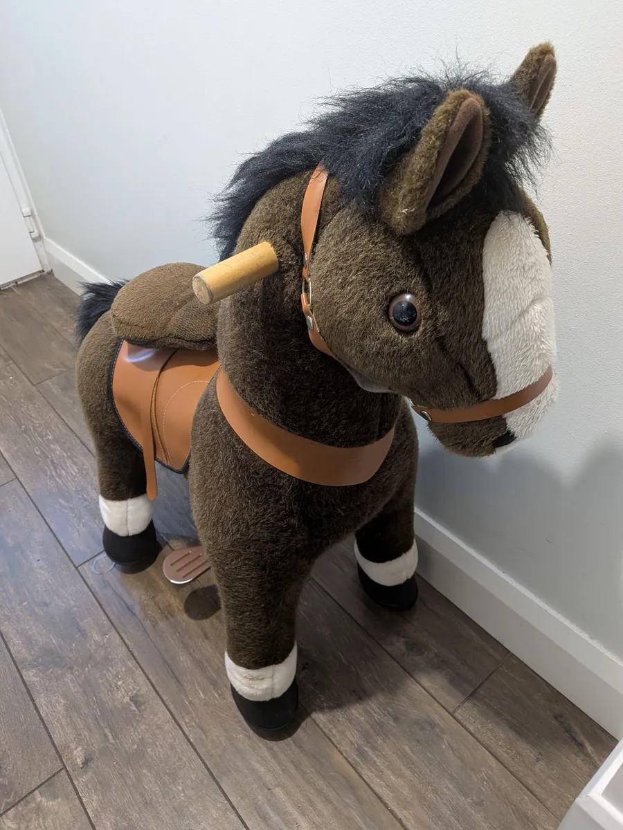 Pony cycle toy