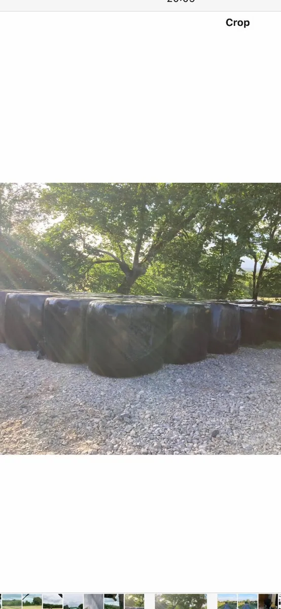 Silage and Hay