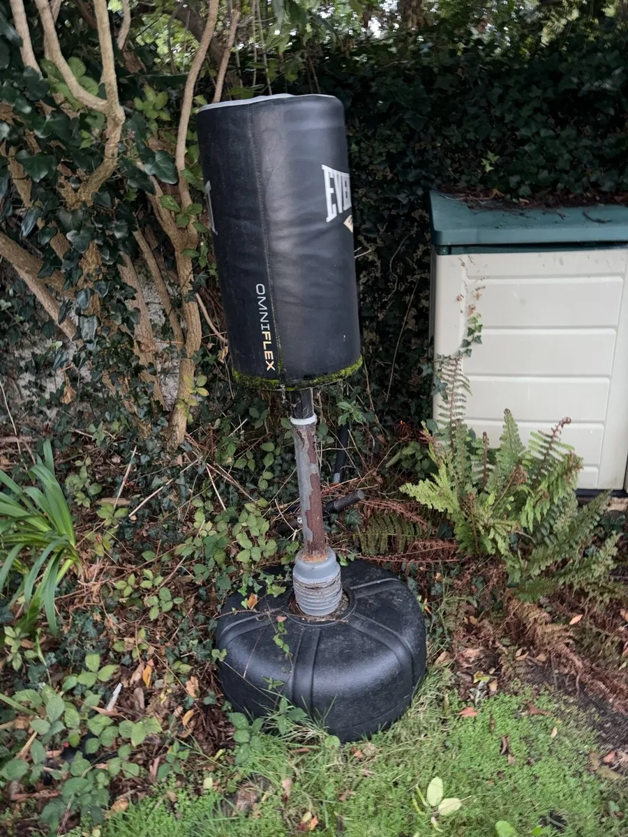 Boxing bag - Image 1