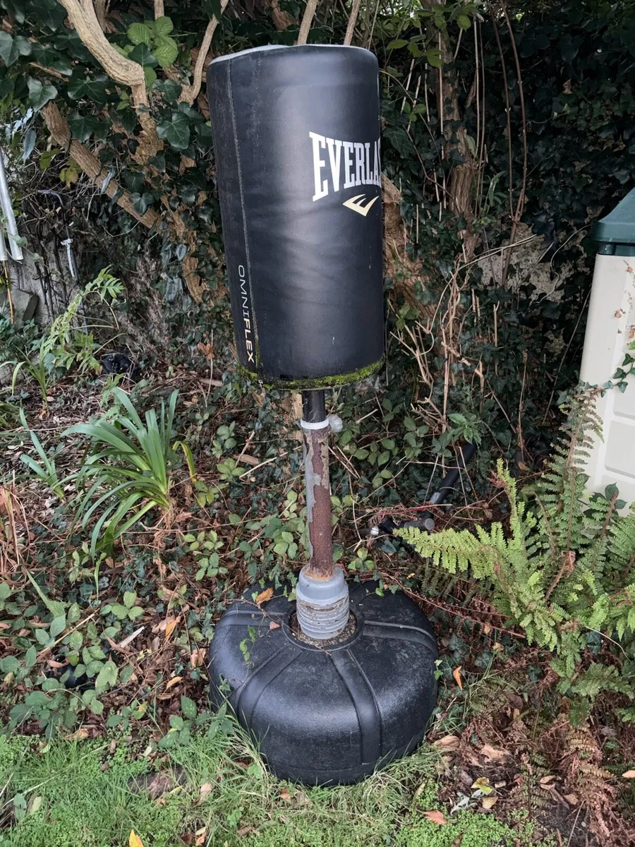 Boxing bag - Image 2
