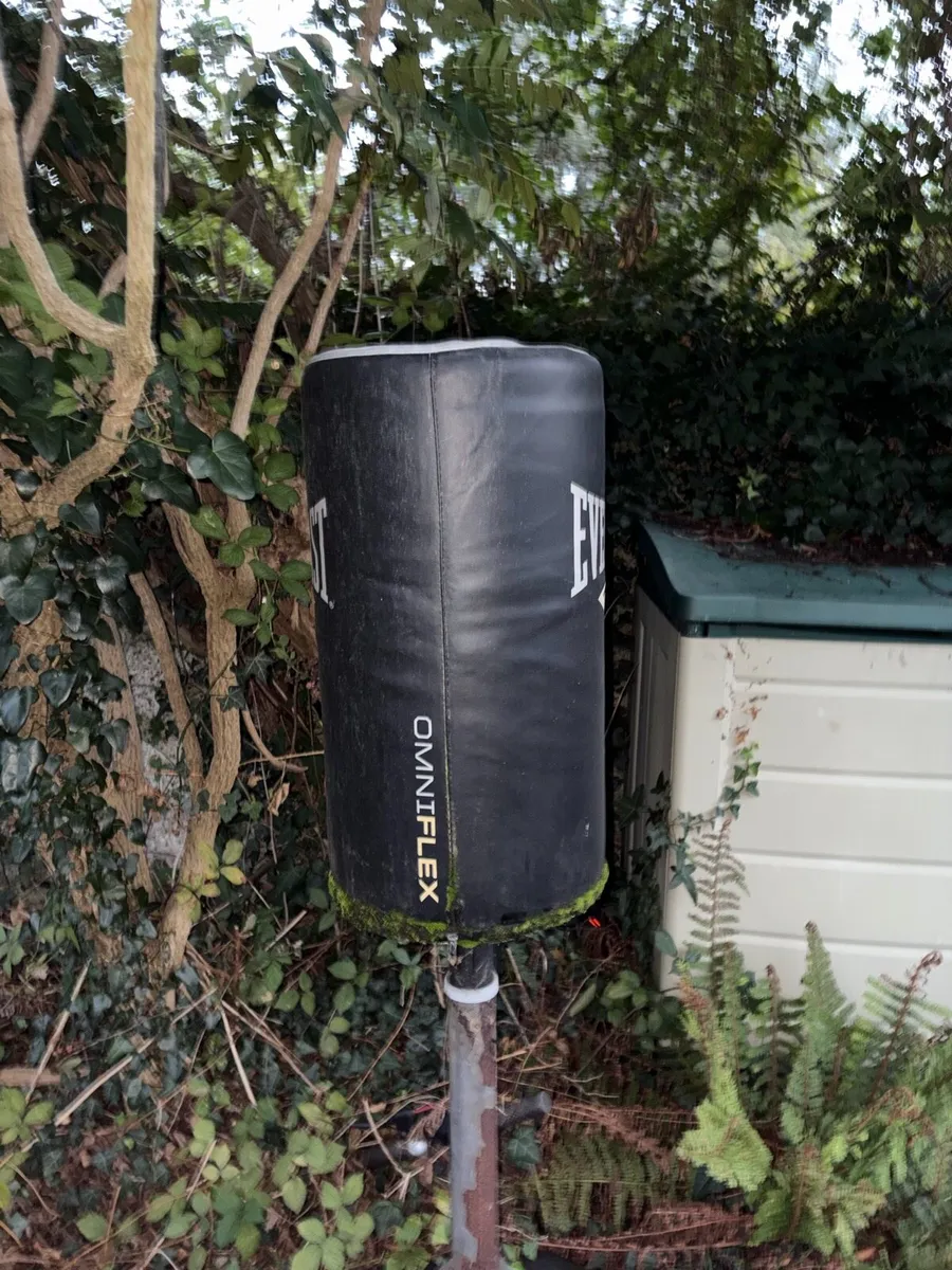Boxing bag - Image 3