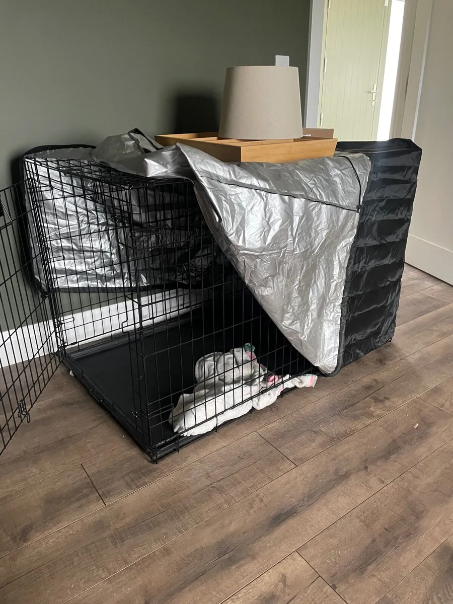 Dog crate XL