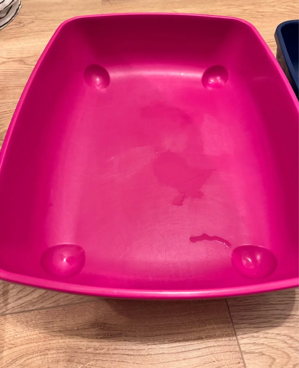 cat litter - Image 3