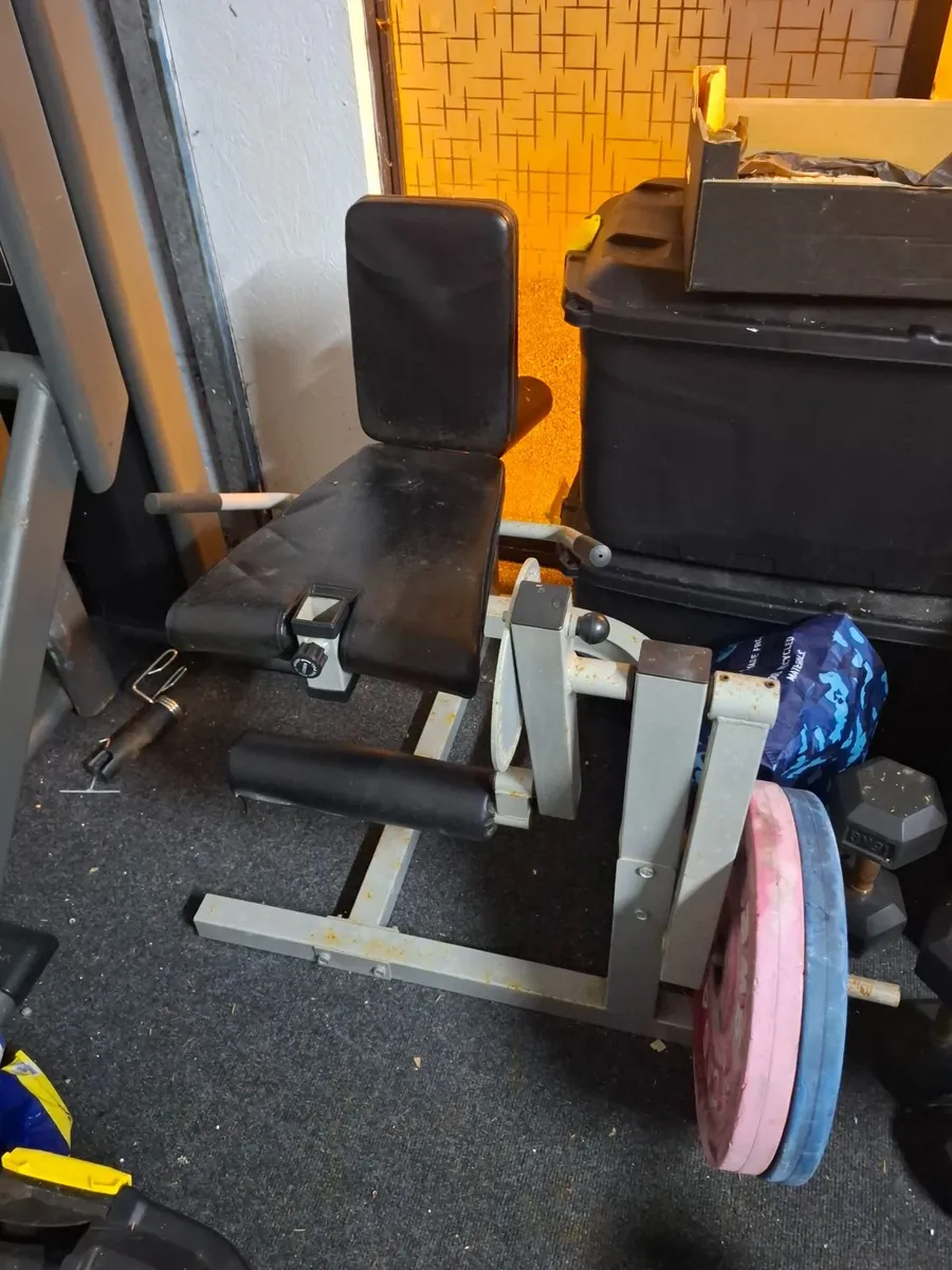Plate loaded leg extension