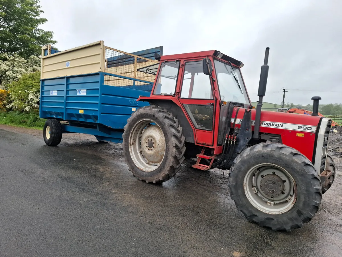 Massey Ferguson 290 - Image 2