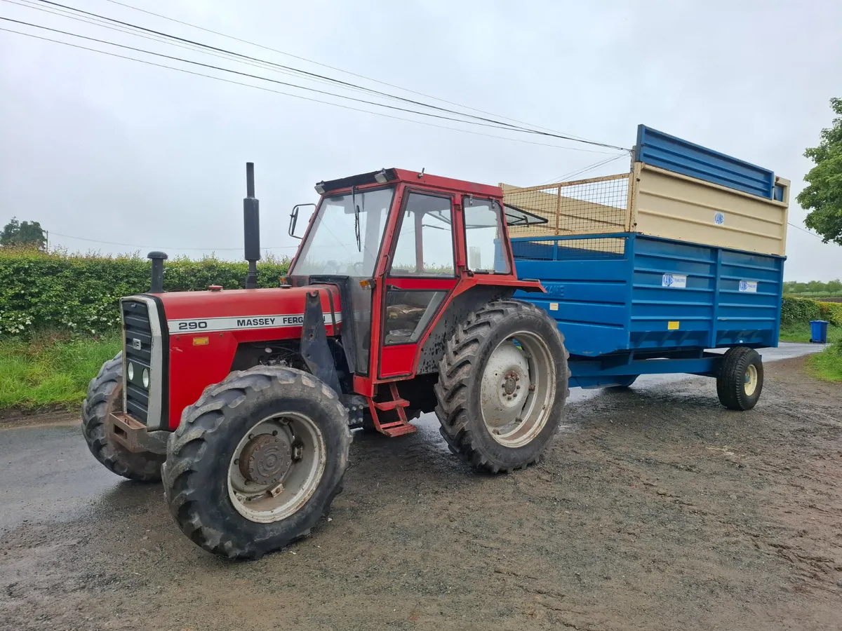 Massey Ferguson 290 - Image 1