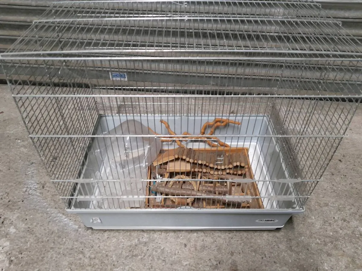 Bird cage