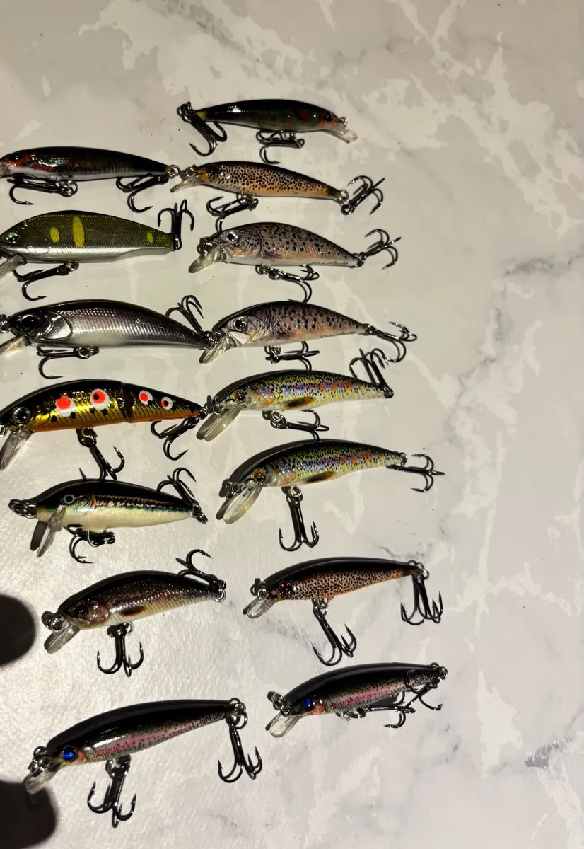 Trout lures - Image 2