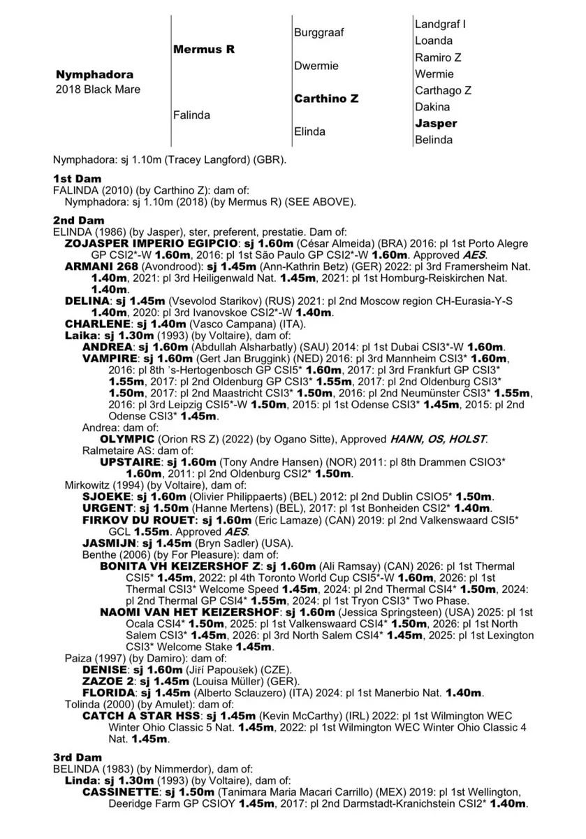 Performance Bred Broodmares - Image 4