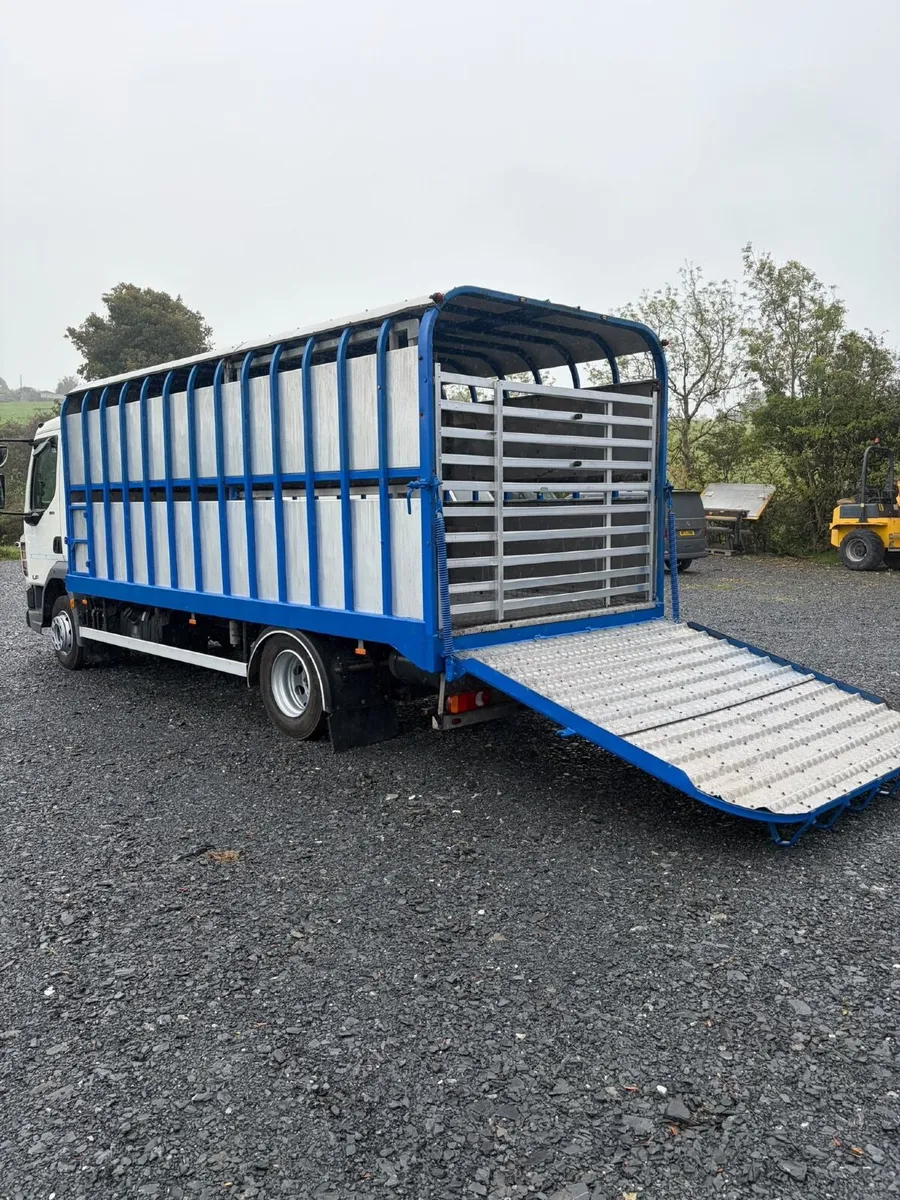 2020 Daf cattle lorry - Image 3
