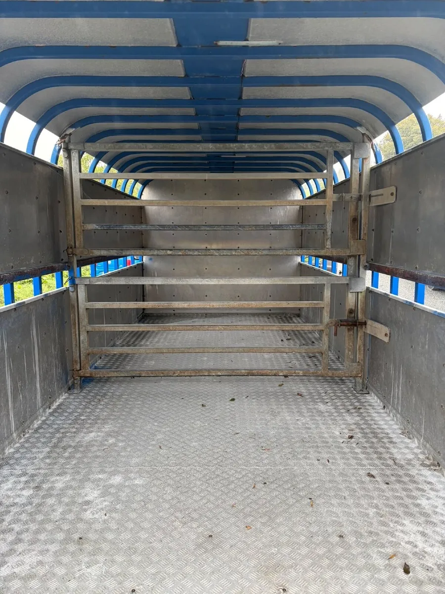 2020 Daf cattle lorry - Image 4