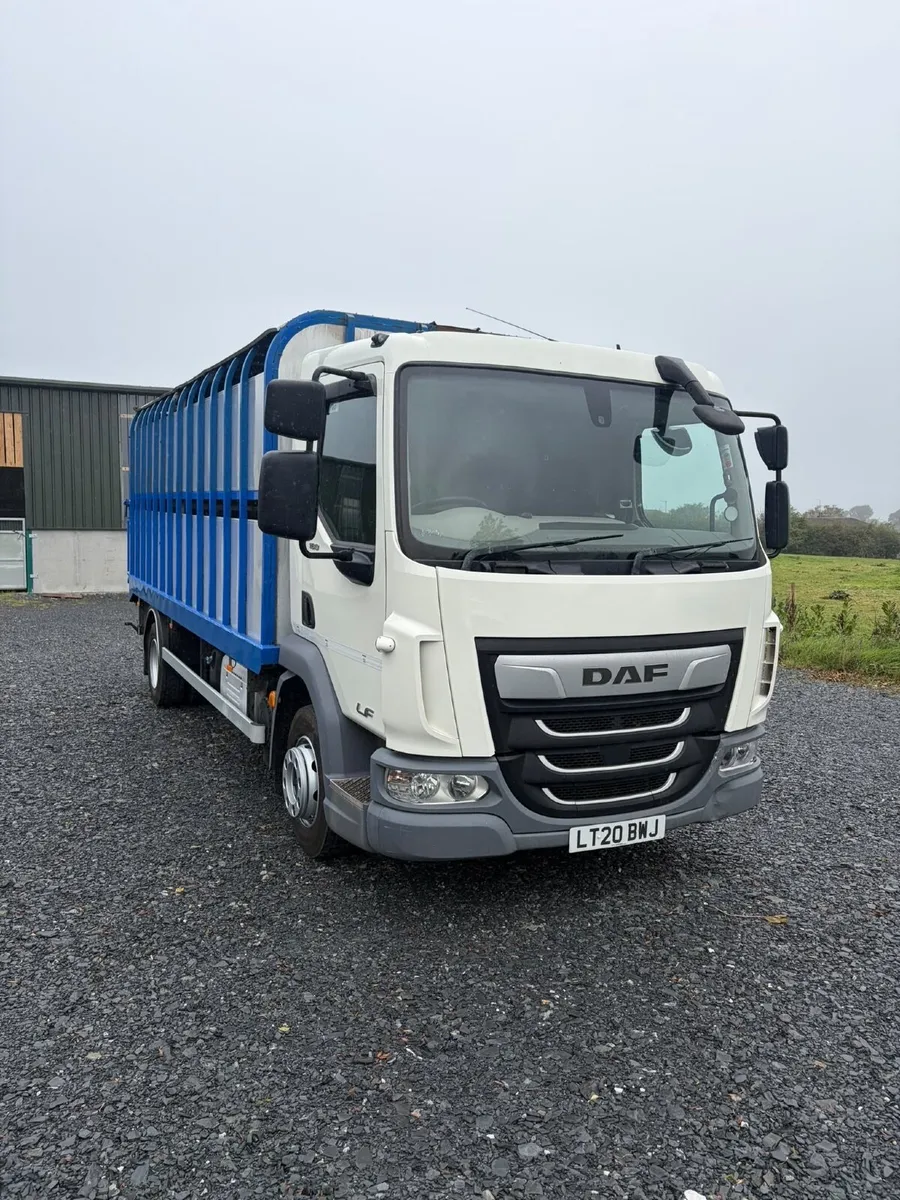 2020 Daf cattle lorry - Image 2