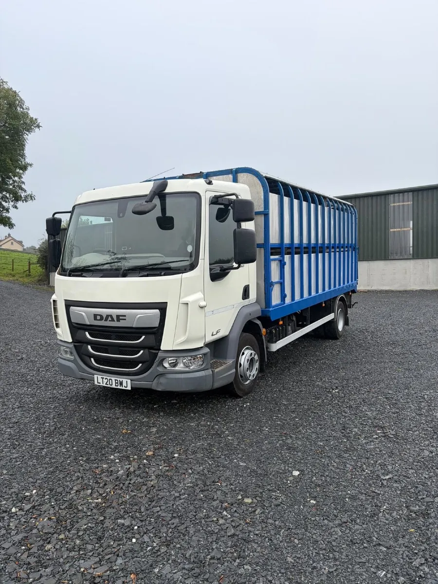 2020 Daf cattle lorry - Image 1