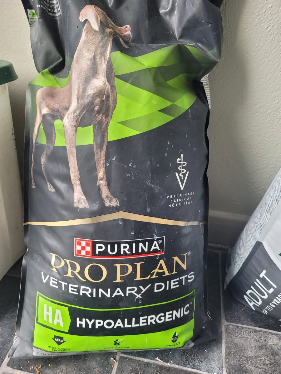 Dog food