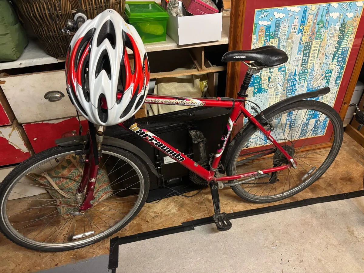 Hybrid bike - Image 1
