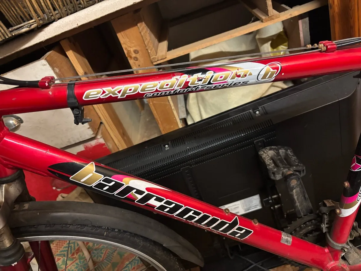 Hybrid bike - Image 2