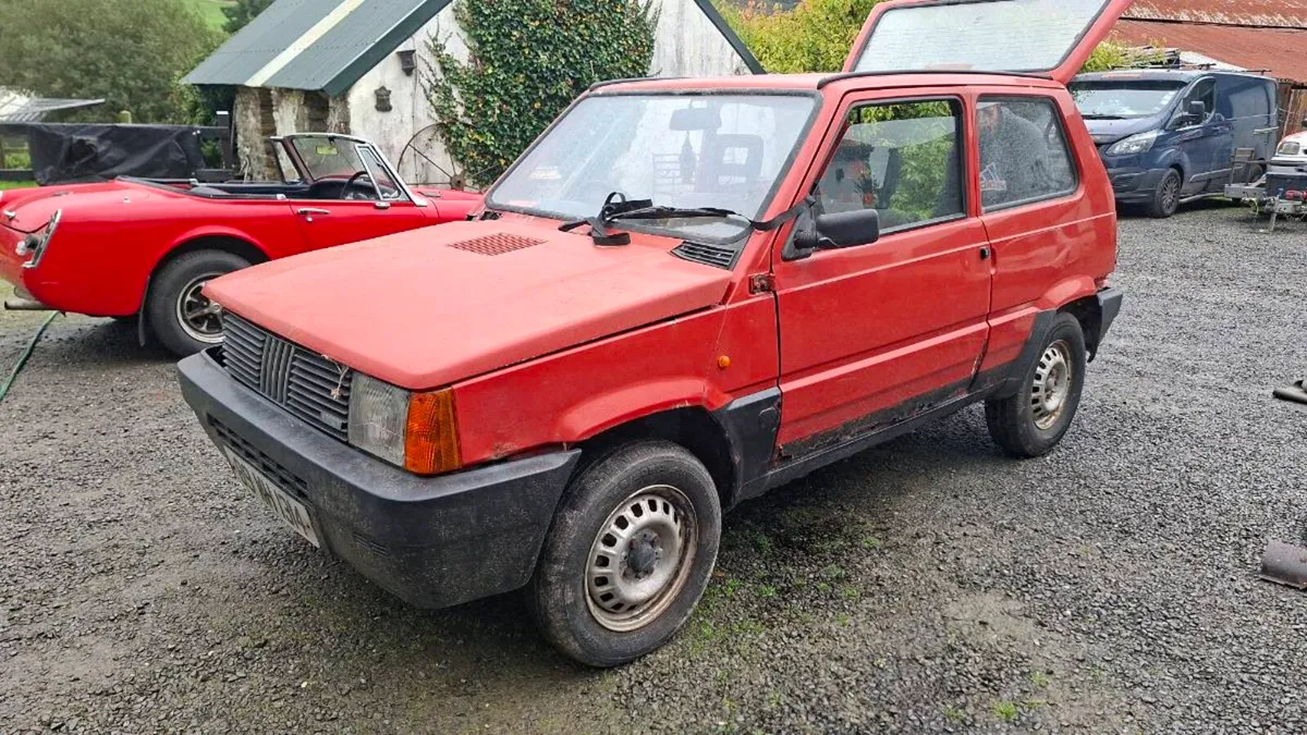 Fiat Panda - Image 1