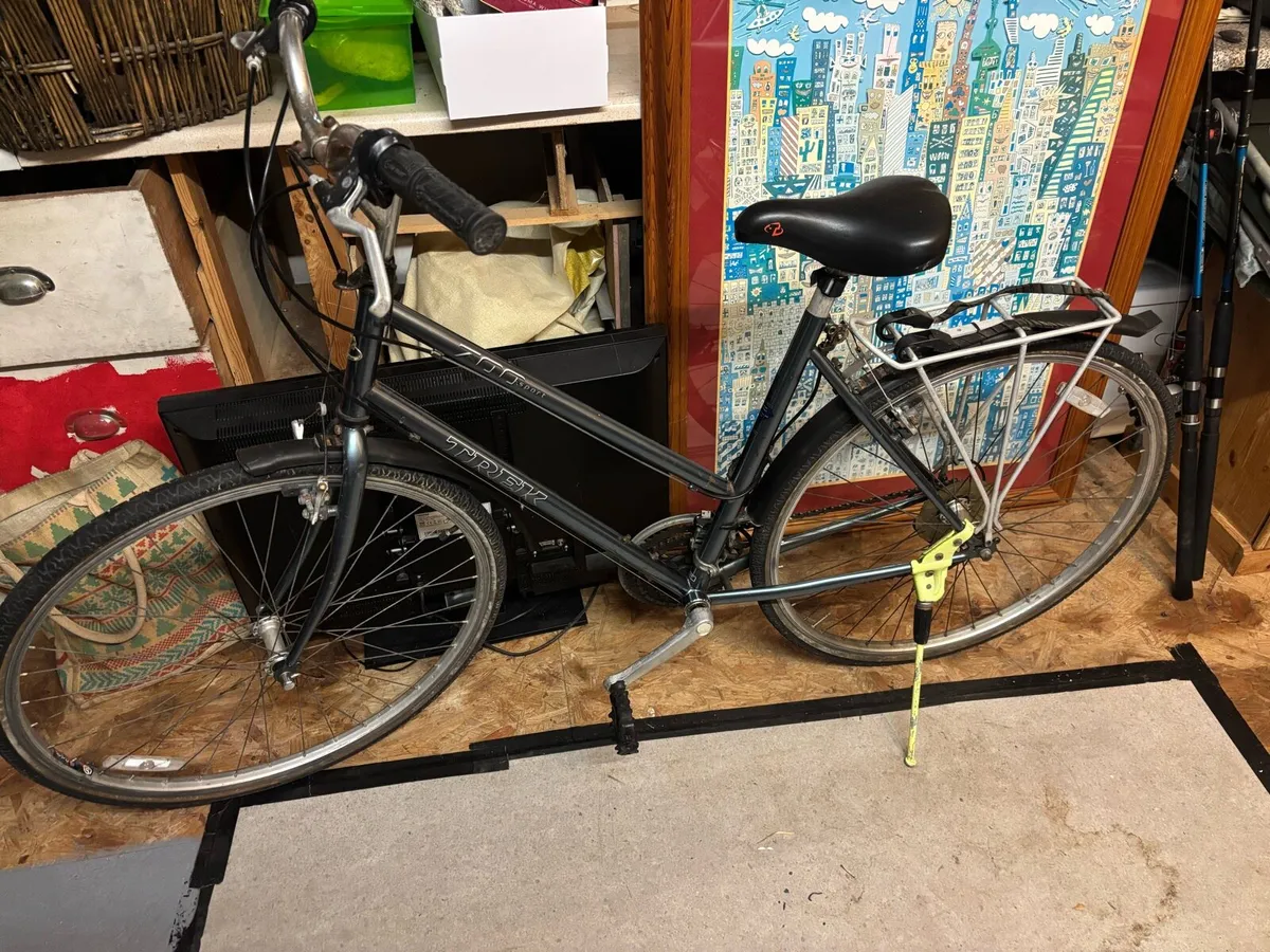 Comfort bike - Image 1