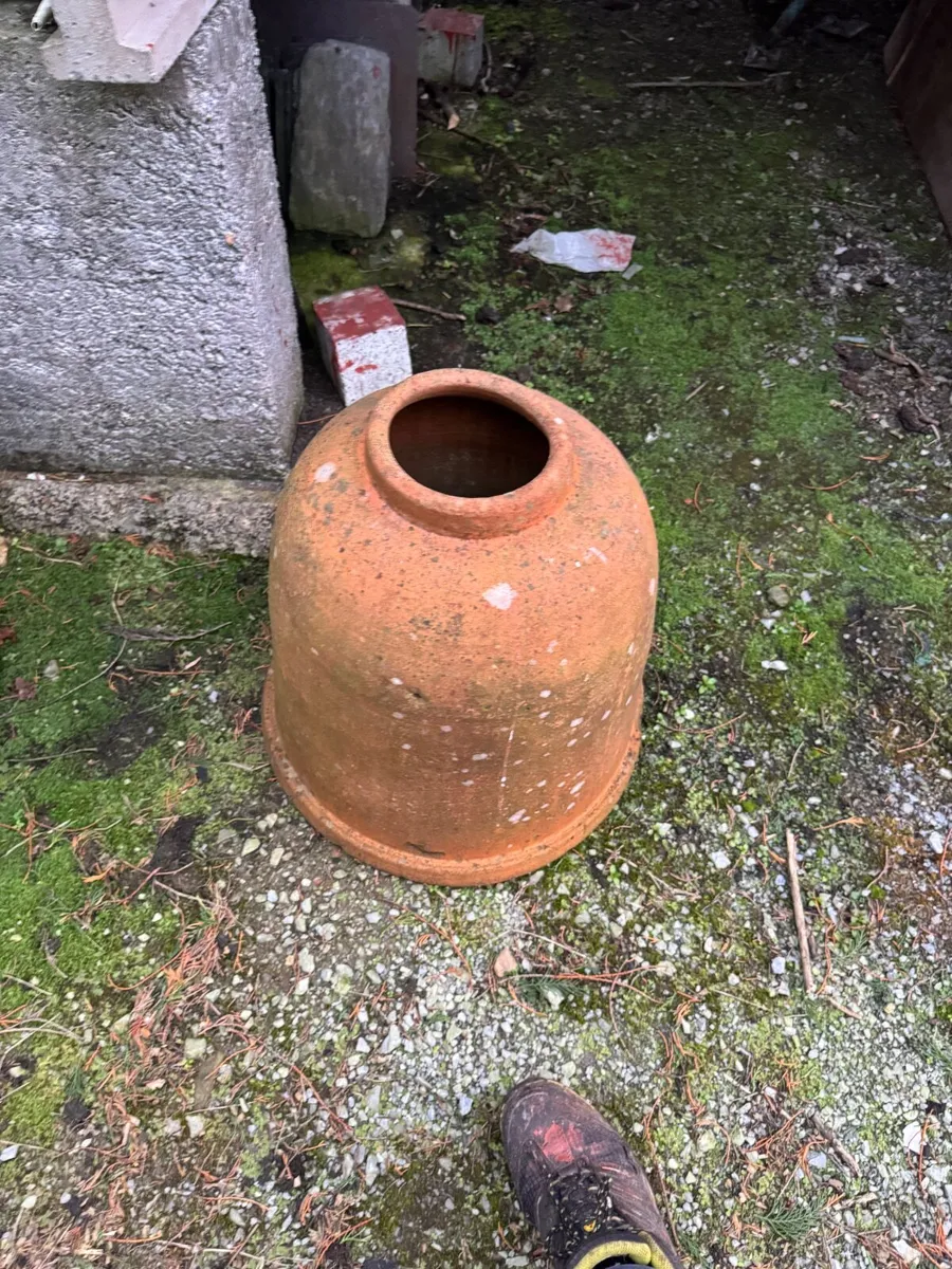 Vintage Victorian Terracotta Rhubarb Forcer - Image 4