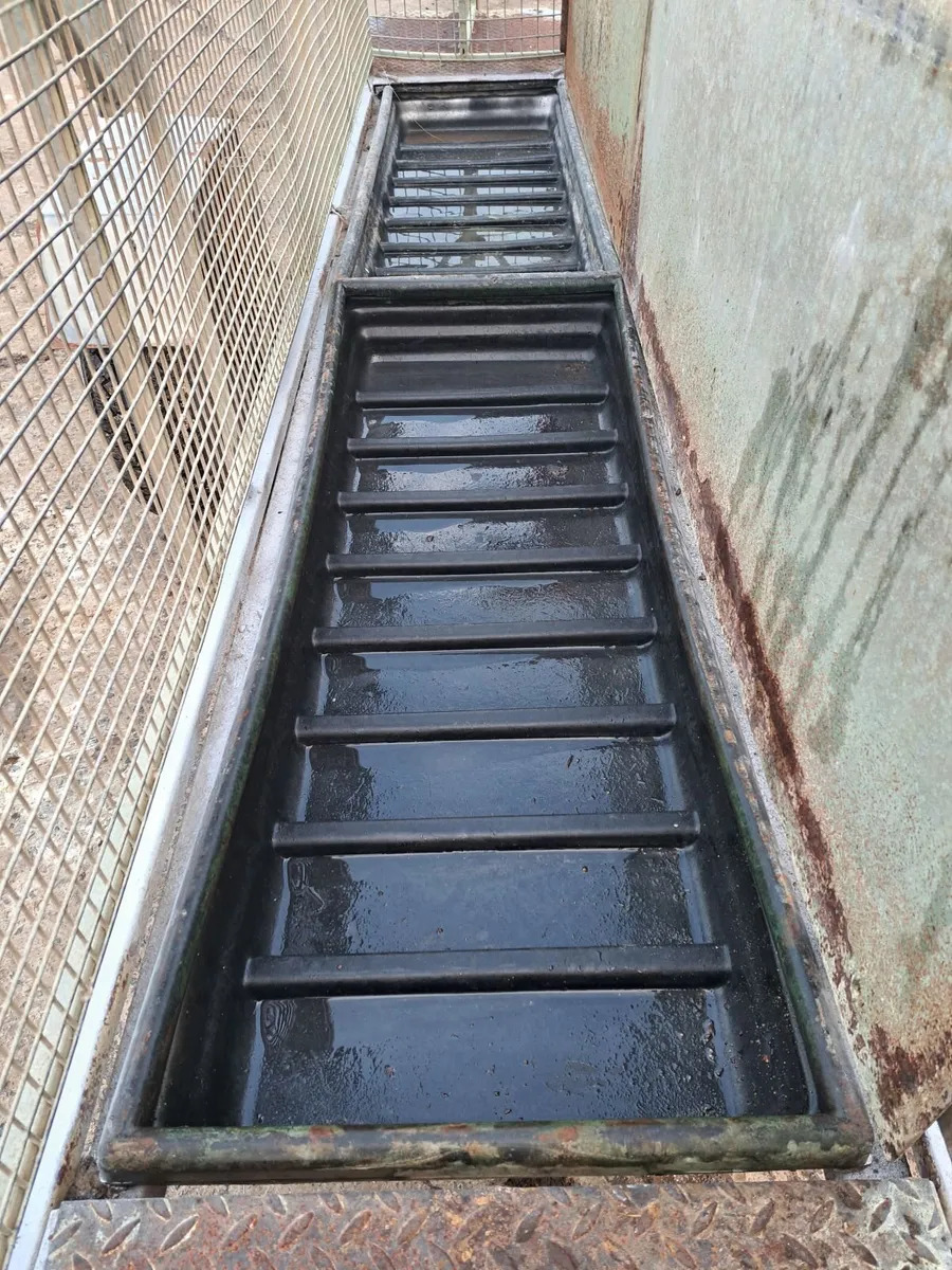 Sheep equipment. Scales gates and race - Image 1