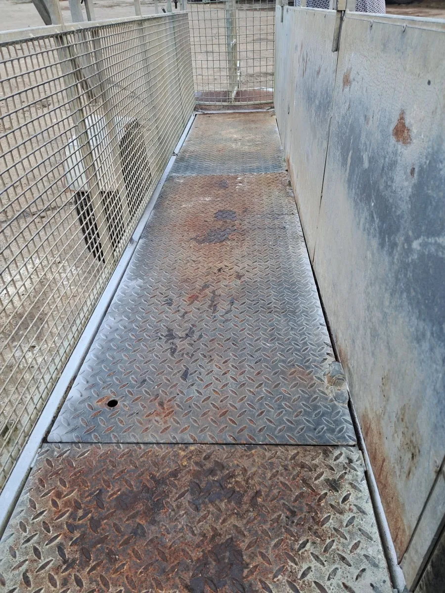 Sheep equipment. Scales gates and race - Image 2