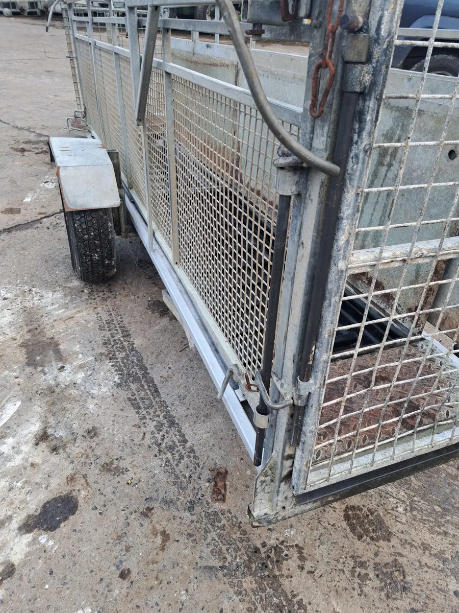 Sheep equipment. Scales gates and race - Image 3