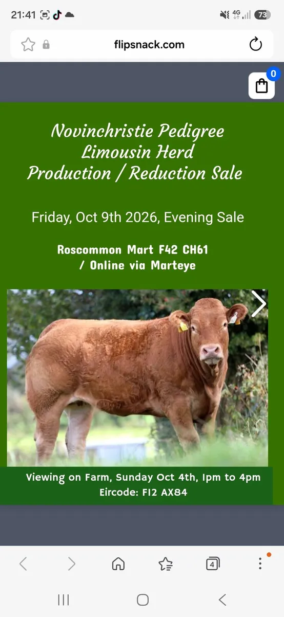 Production/Reduction Sale - Image 1