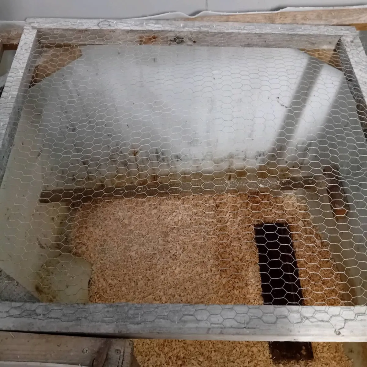 Poultry pen - Image 2